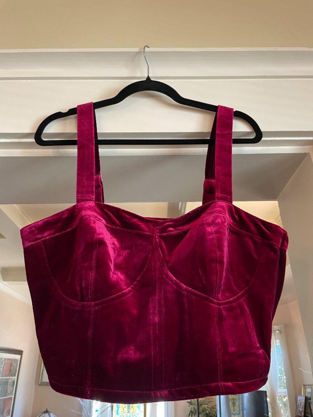 NWT Blank NYC 'Sneak Peak' Bustier Crop Top - L